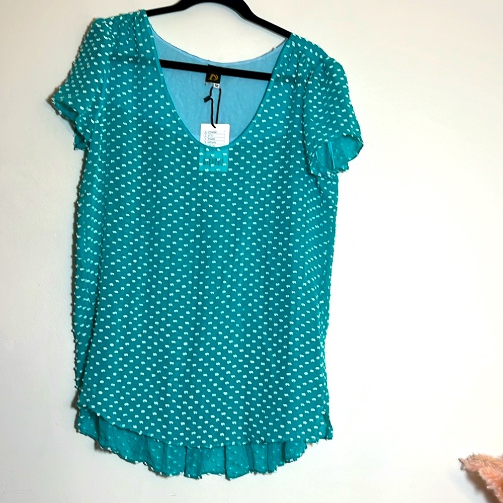 Anthropologie Sachin + Babi Silk Green Swiss Dot Short Sleeve Blouse Shirt 10
